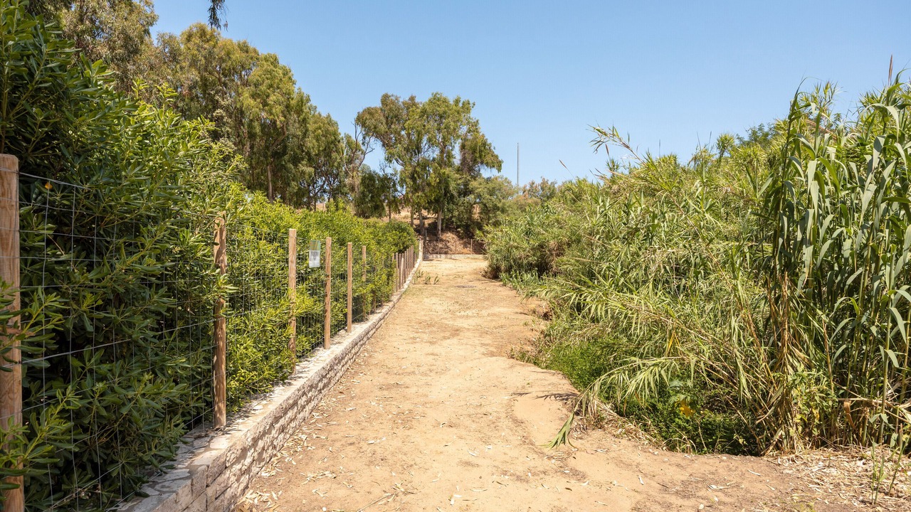 Photo of Outdoor in Balestrate