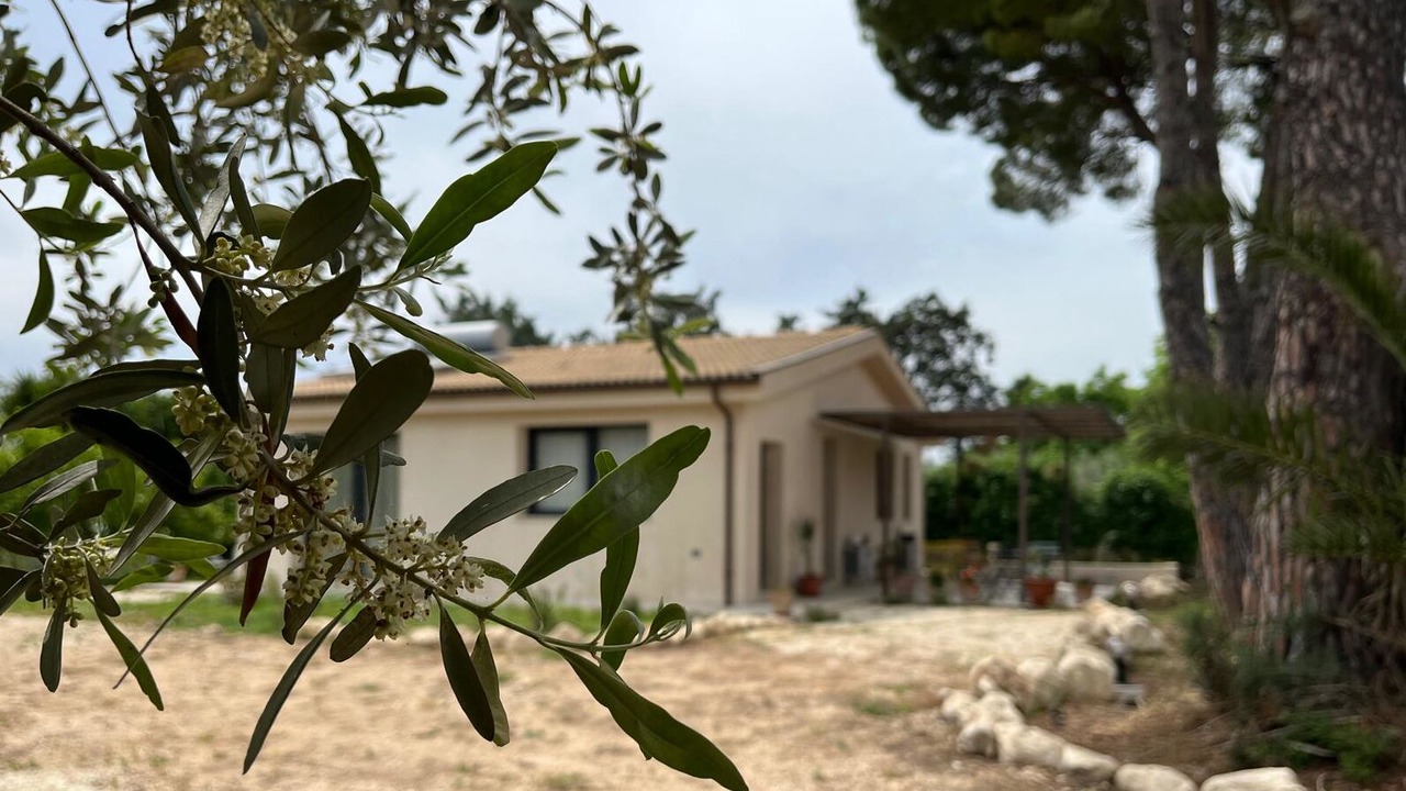 Photo of Outdoor in San Corrado di Fuori