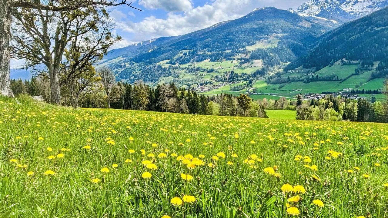 Photo of Others in Ramsau am Dachstein