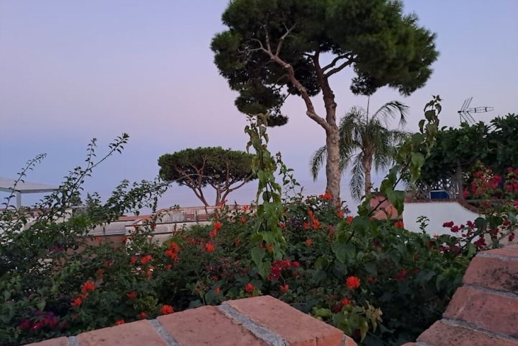 Photo of Outdoor in Aci Catena
