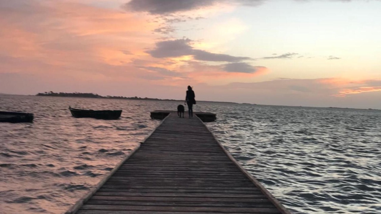 Photo of Others in Marsala