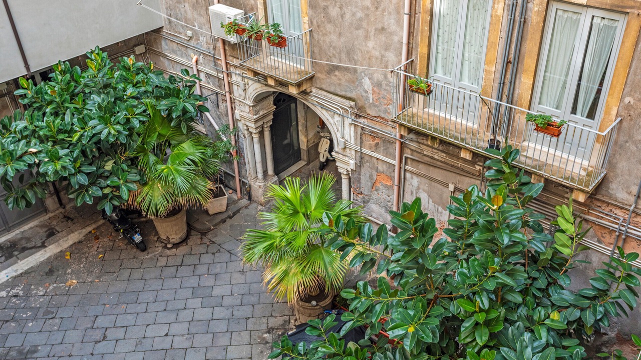 Photo of Outdoor in Archi