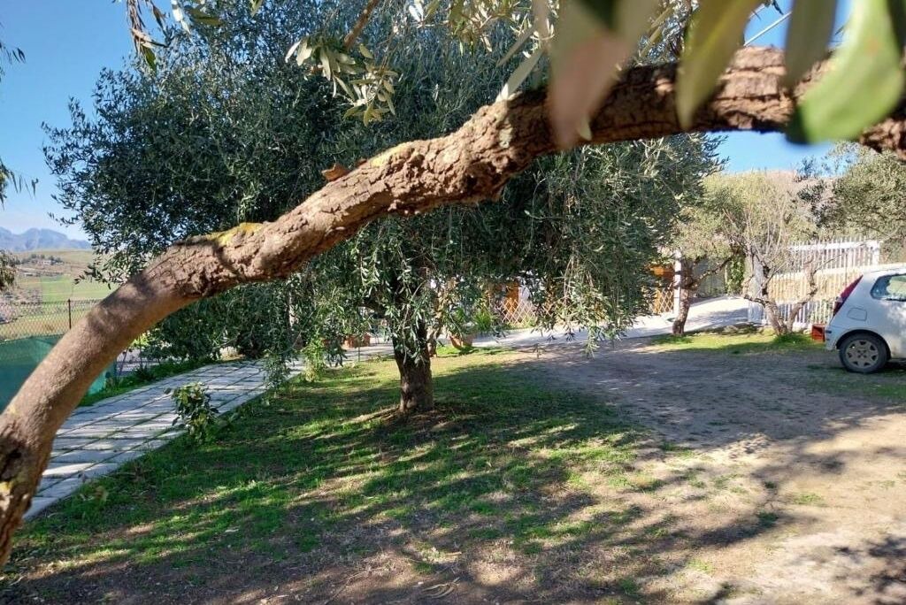 Photo of Outdoor in Caccamo