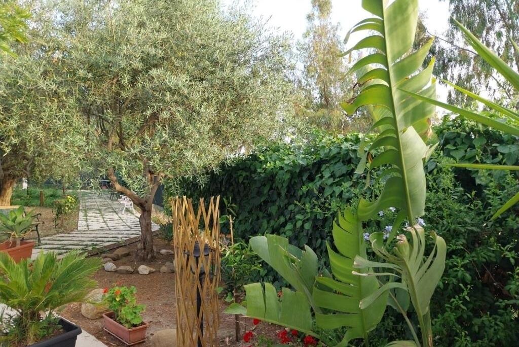 Photo of Outdoor in Caccamo
