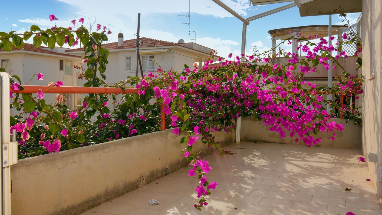 Photo of Others in Caucana-finaiti-casuzze-finaiti Nord