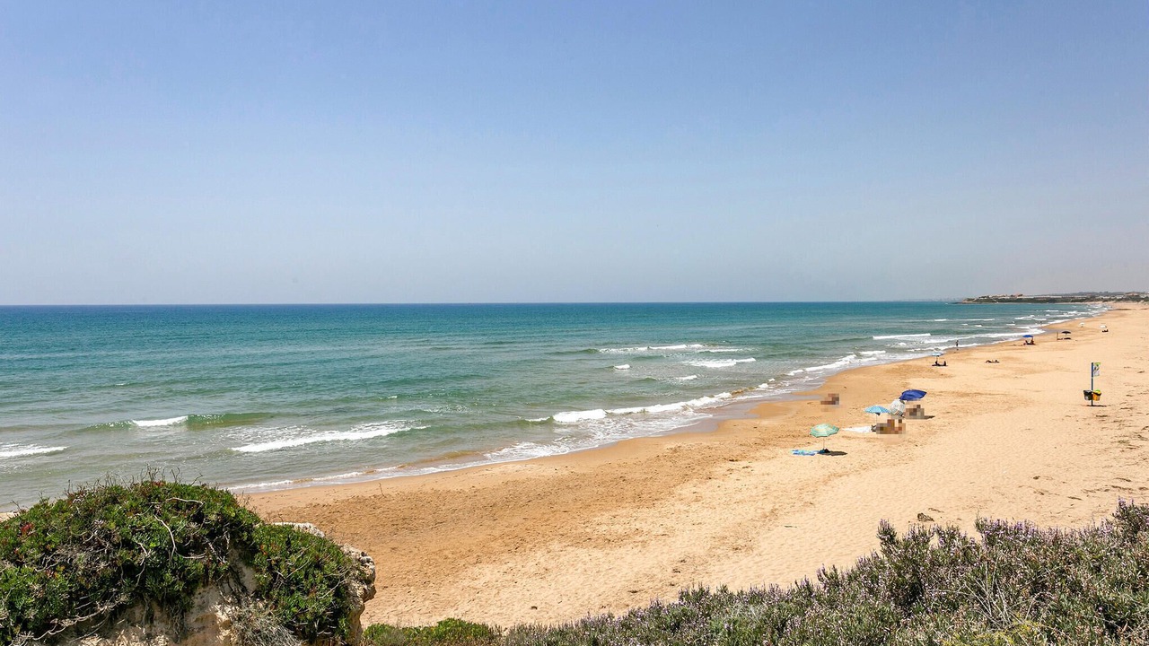 Photo of Others in Caucana-finaiti-casuzze-finaiti Nord