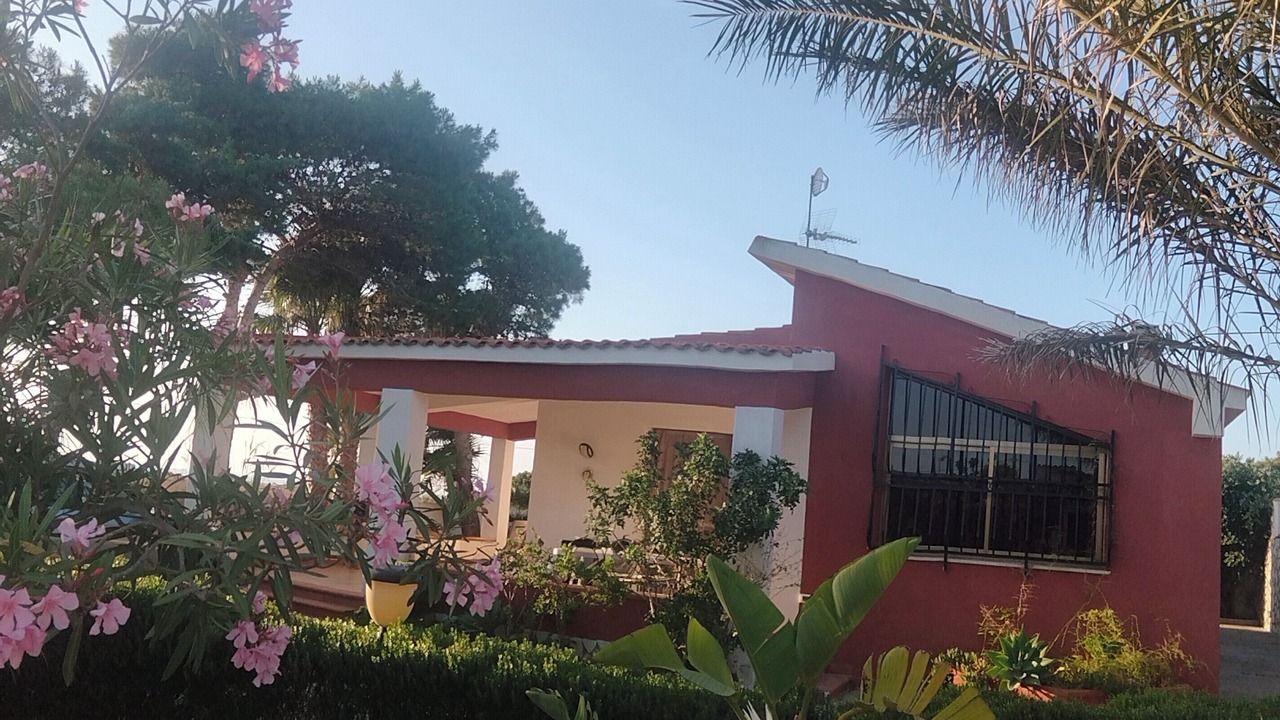 Photo of Outdoor in Mockarta