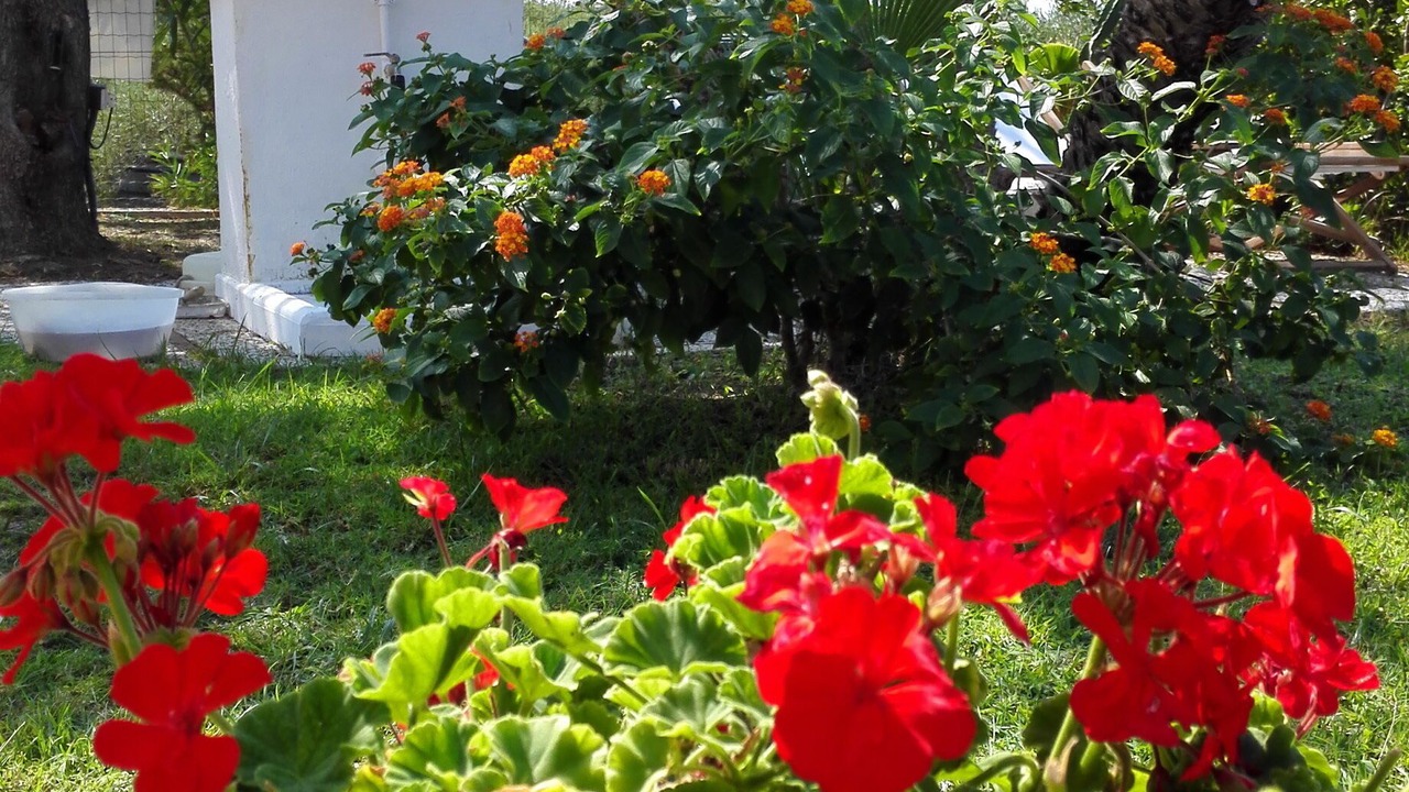 Photo of Outdoor in Mazzaforno