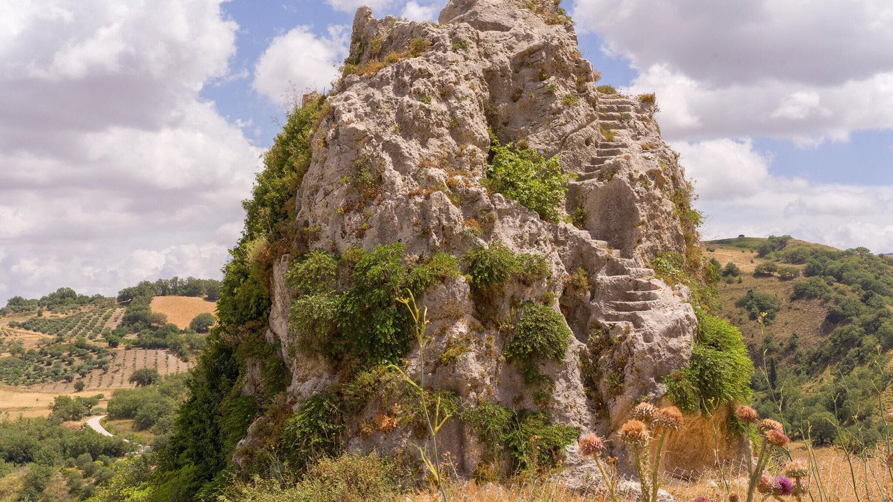 Photo of Others in Partinico