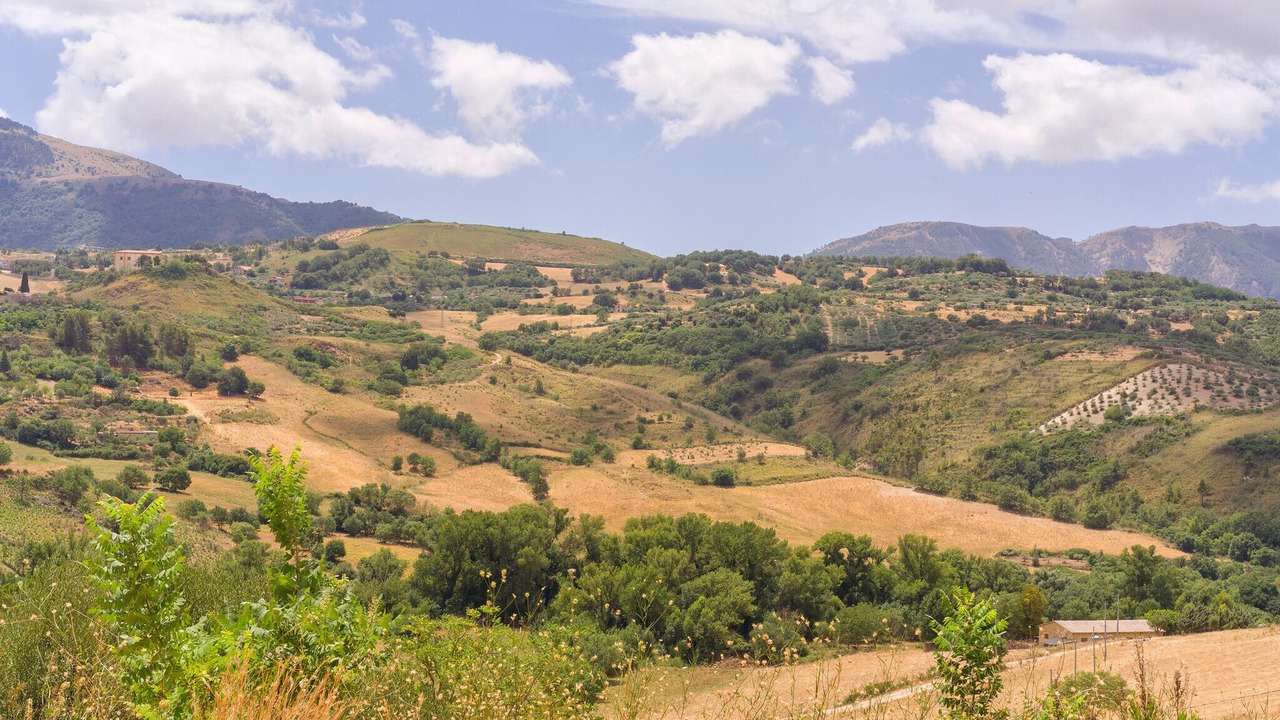 Photo of Others in Partinico