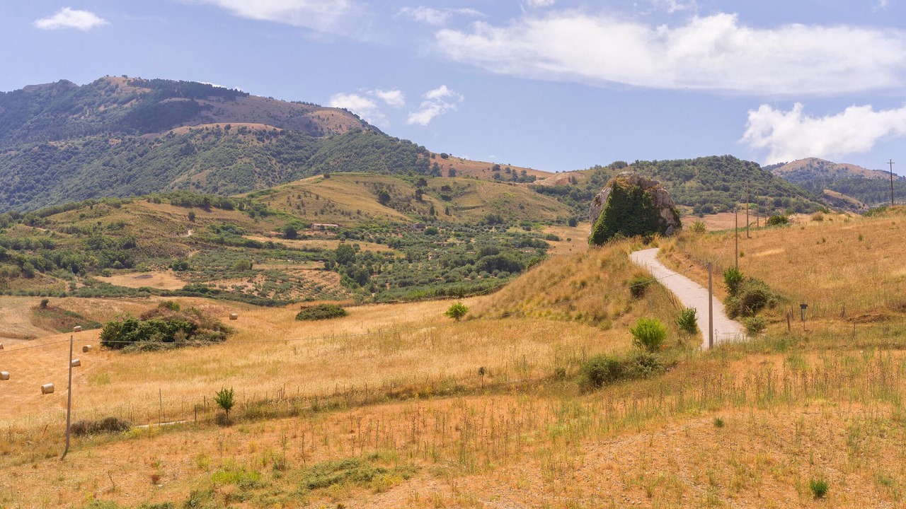 Photo of Others in Partinico