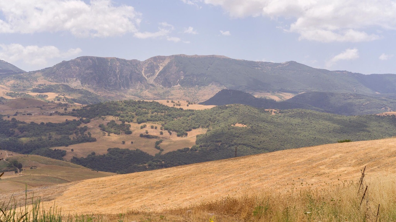 Photo of Others in Partinico