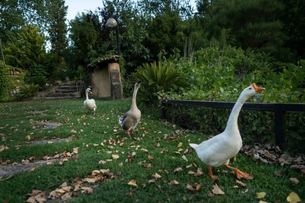 Photo of Outdoor in Pergusa