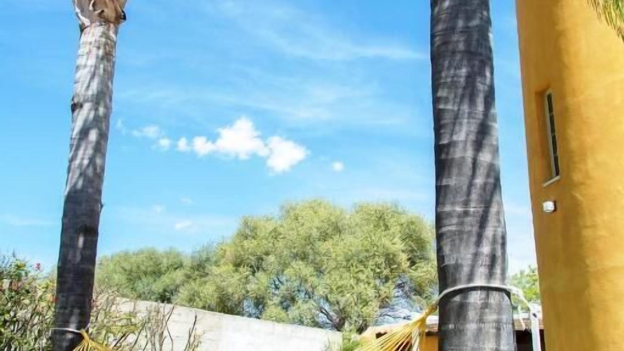 Photo of Outdoor in Arenella