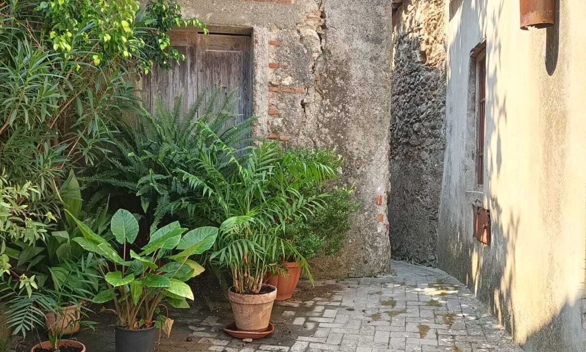 Photo of Outdoor in Condro