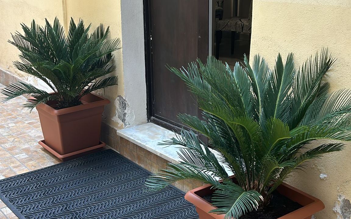 Photo of Outdoor in Borgo-Sanzio