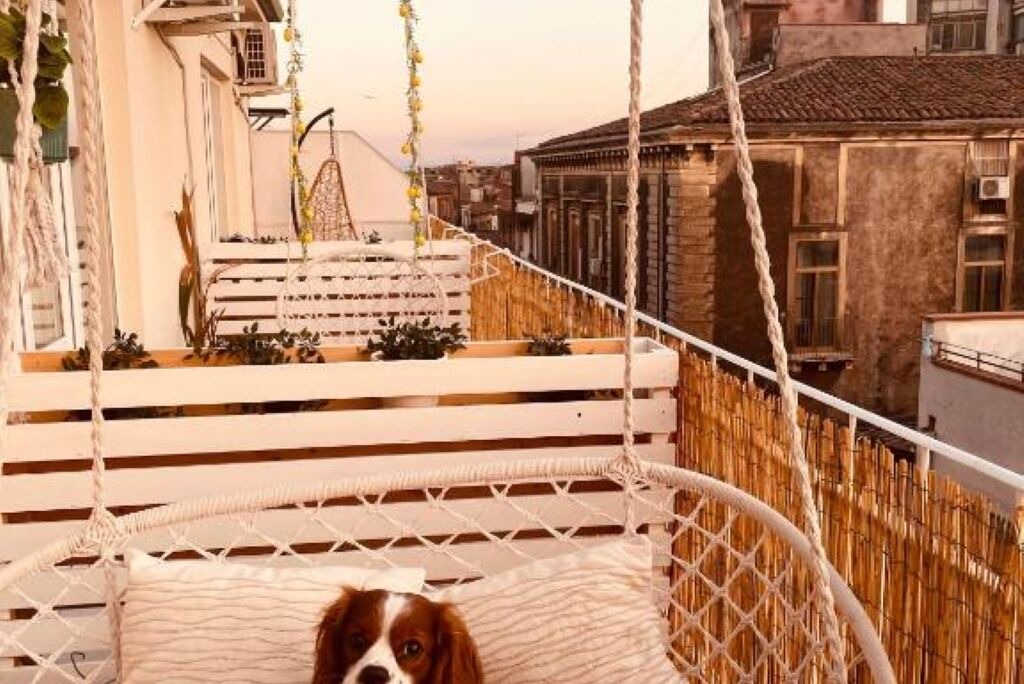 Photo of Outdoor in Old Town