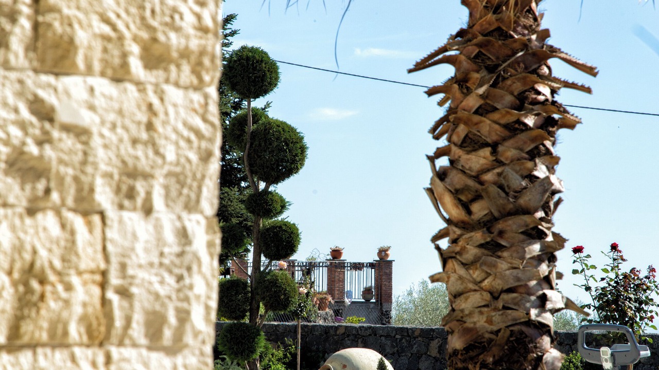 Photo of Outdoor in Mascalucia