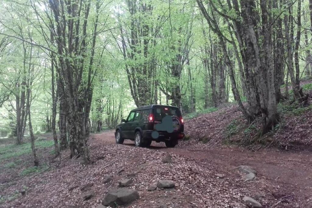 Photo of Outdoor in Cesaro