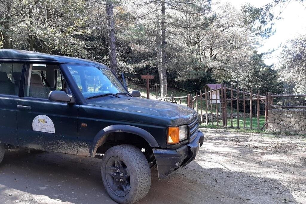Photo of Outdoor in Cesaro