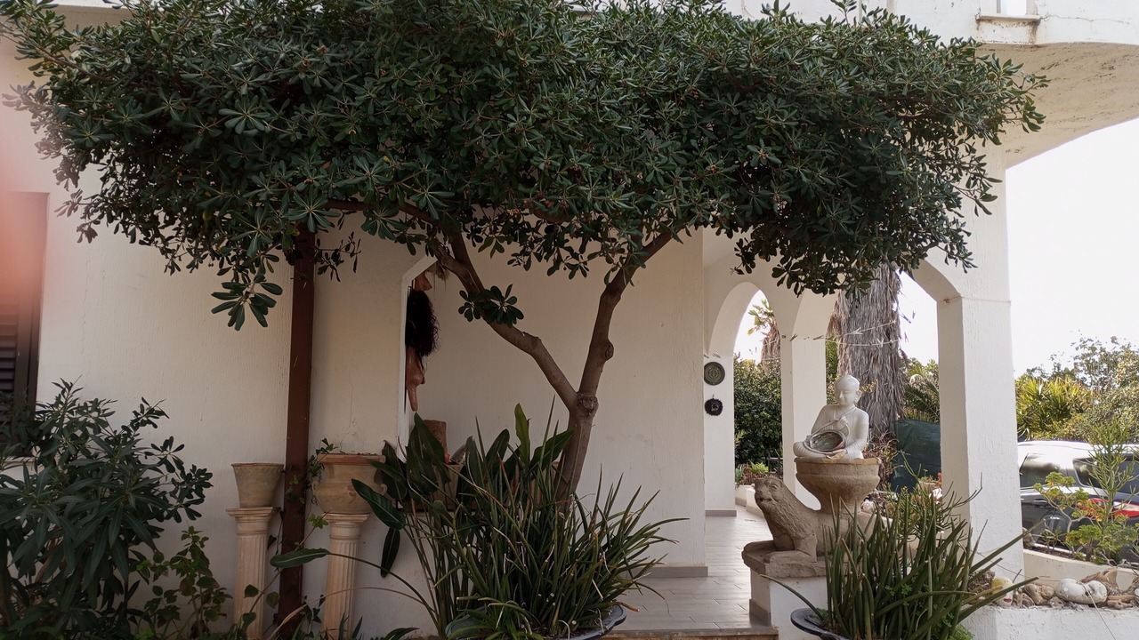 Photo of Outdoor in Sciacca