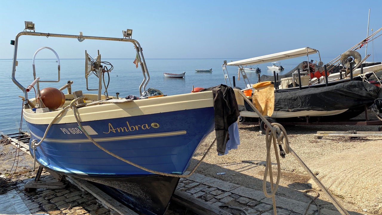 Photo of Others in Sampieri