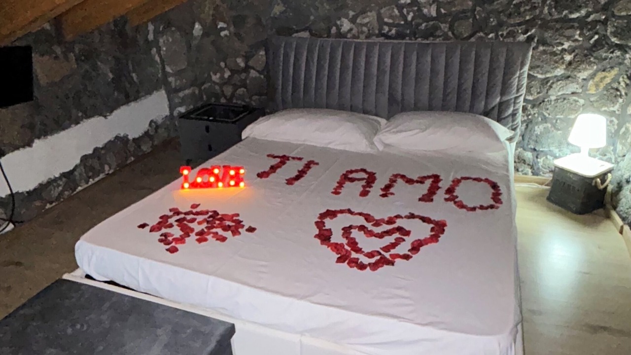 Photo of Bedroom in Archi