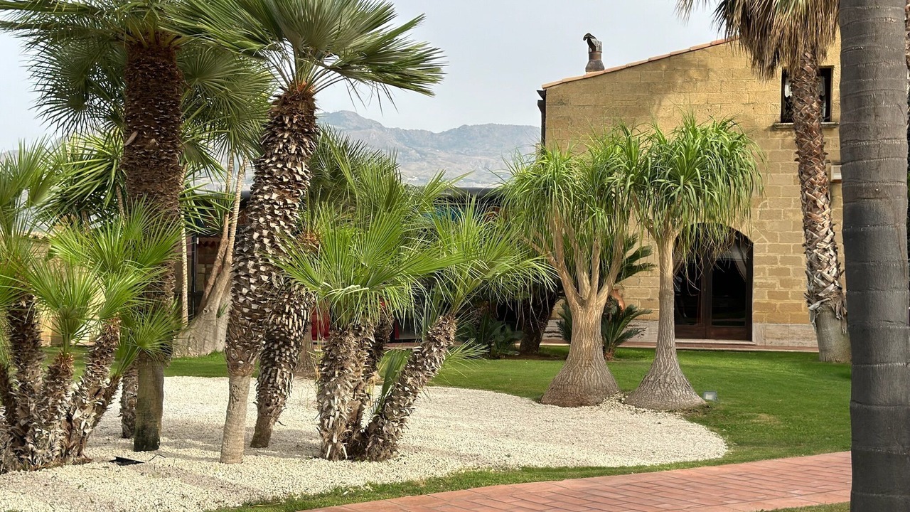 Photo of Outdoor in Partinico