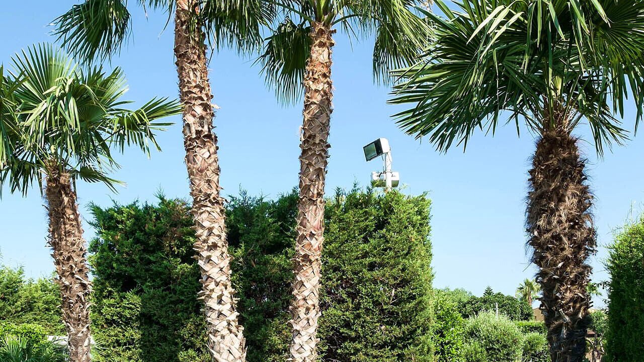 Photo of Outdoor in Partinico