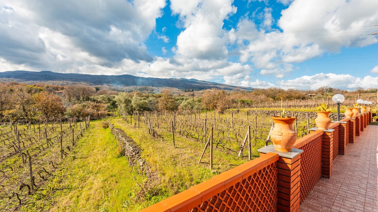 Photo of Outdoor in Piedimonte Etneo