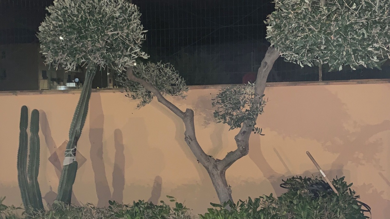 Photo of Outdoor in Siculiana
