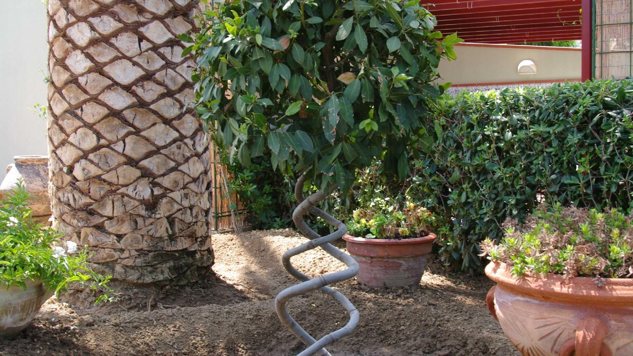 Photo of Outdoor in Mazzaforno