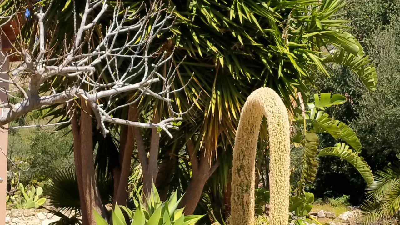 Photo of Outdoor in Porticello