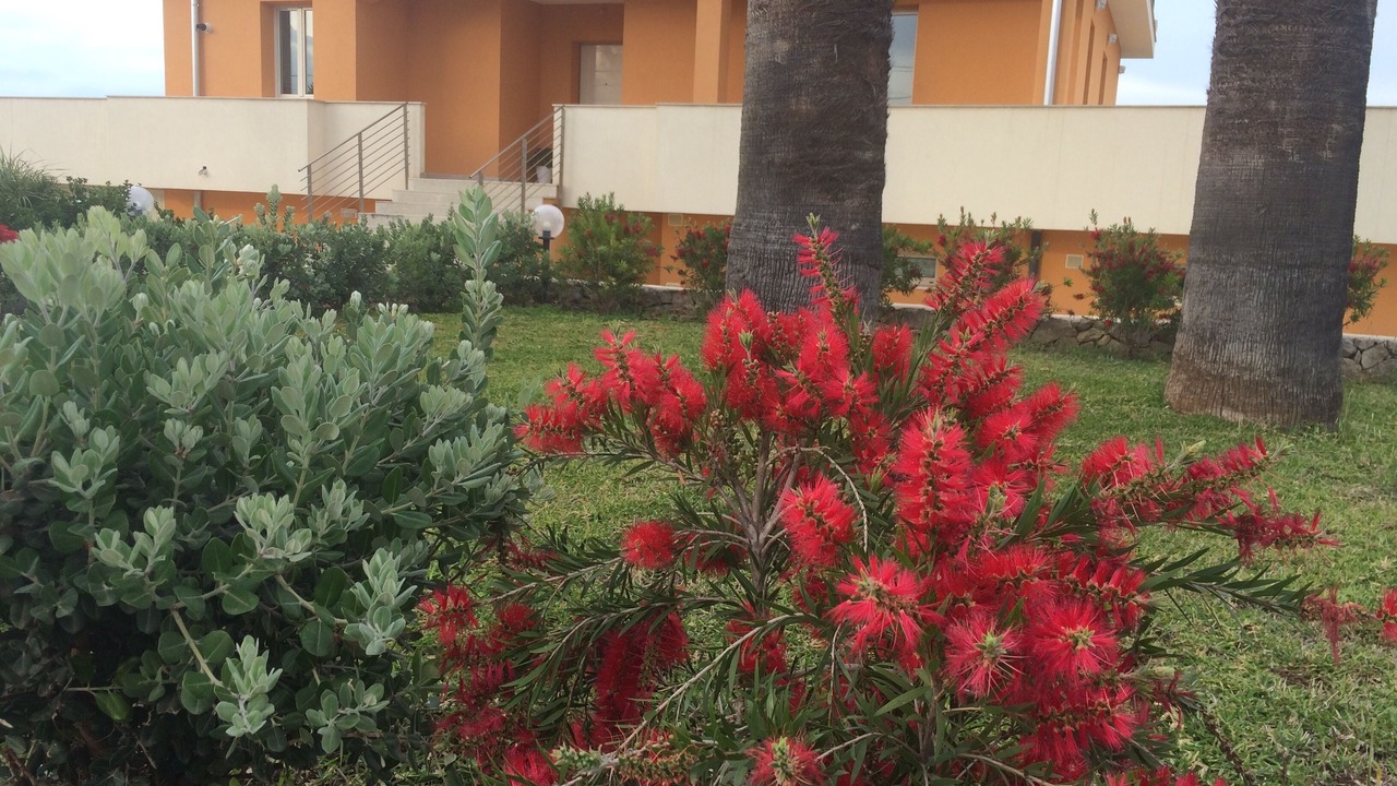 Photo of Outdoor in Melilli