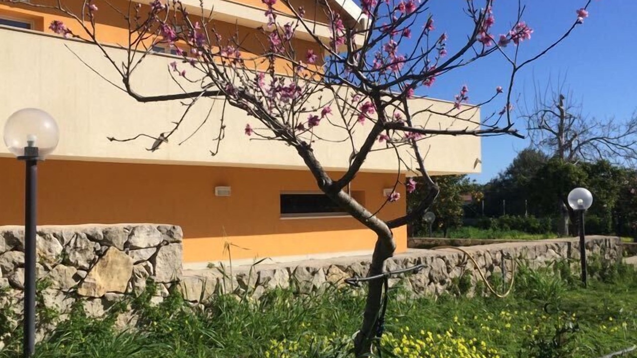 Photo of Outdoor in Melilli