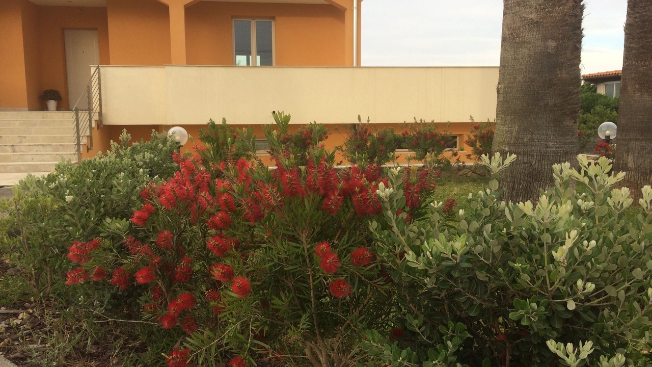 Photo of Outdoor in Melilli