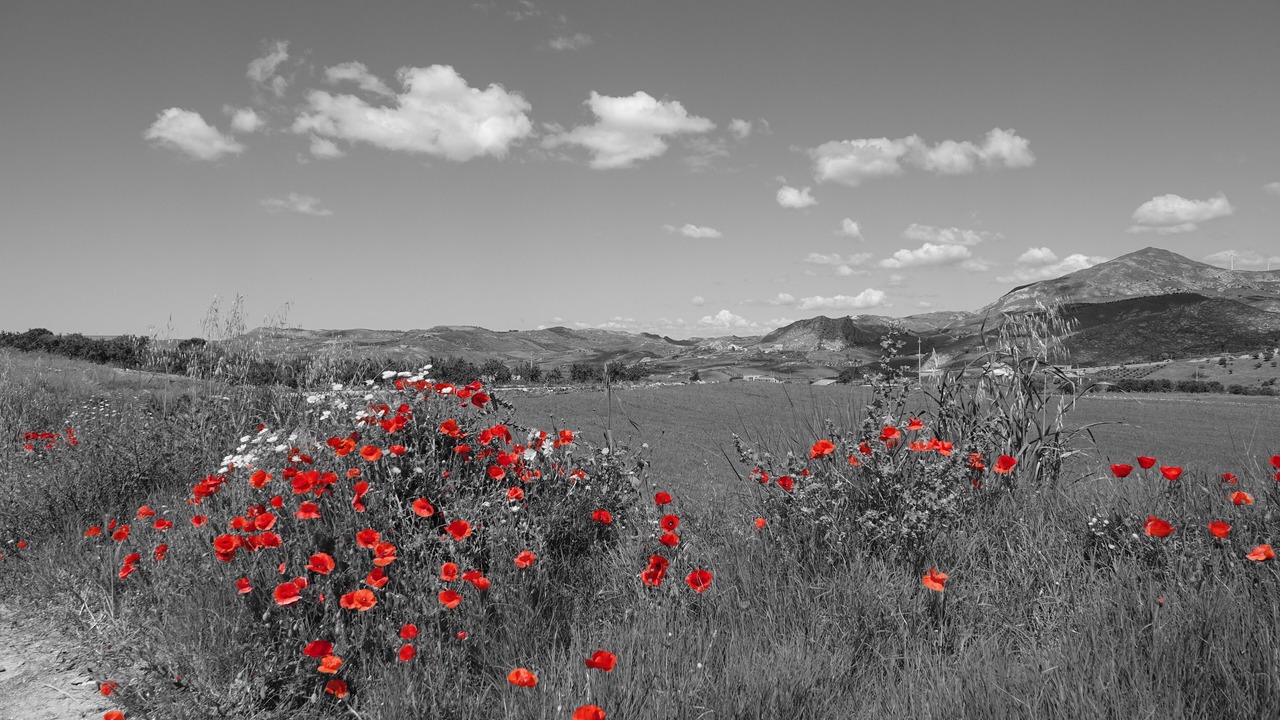 Photo of Outdoor in Agrigento