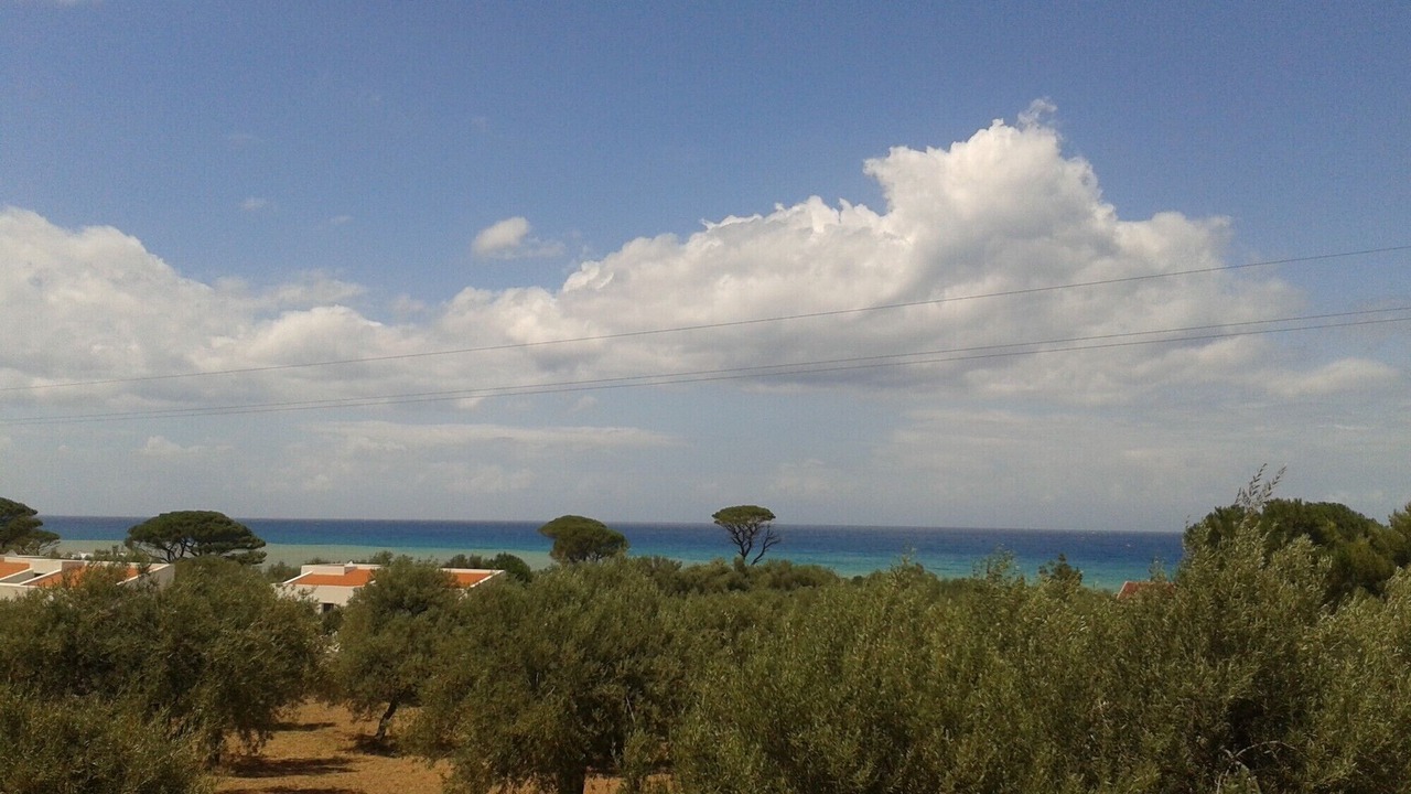 Photo of Others in Cefalu