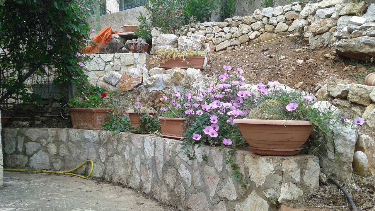 Photo of Outdoor in Scopello