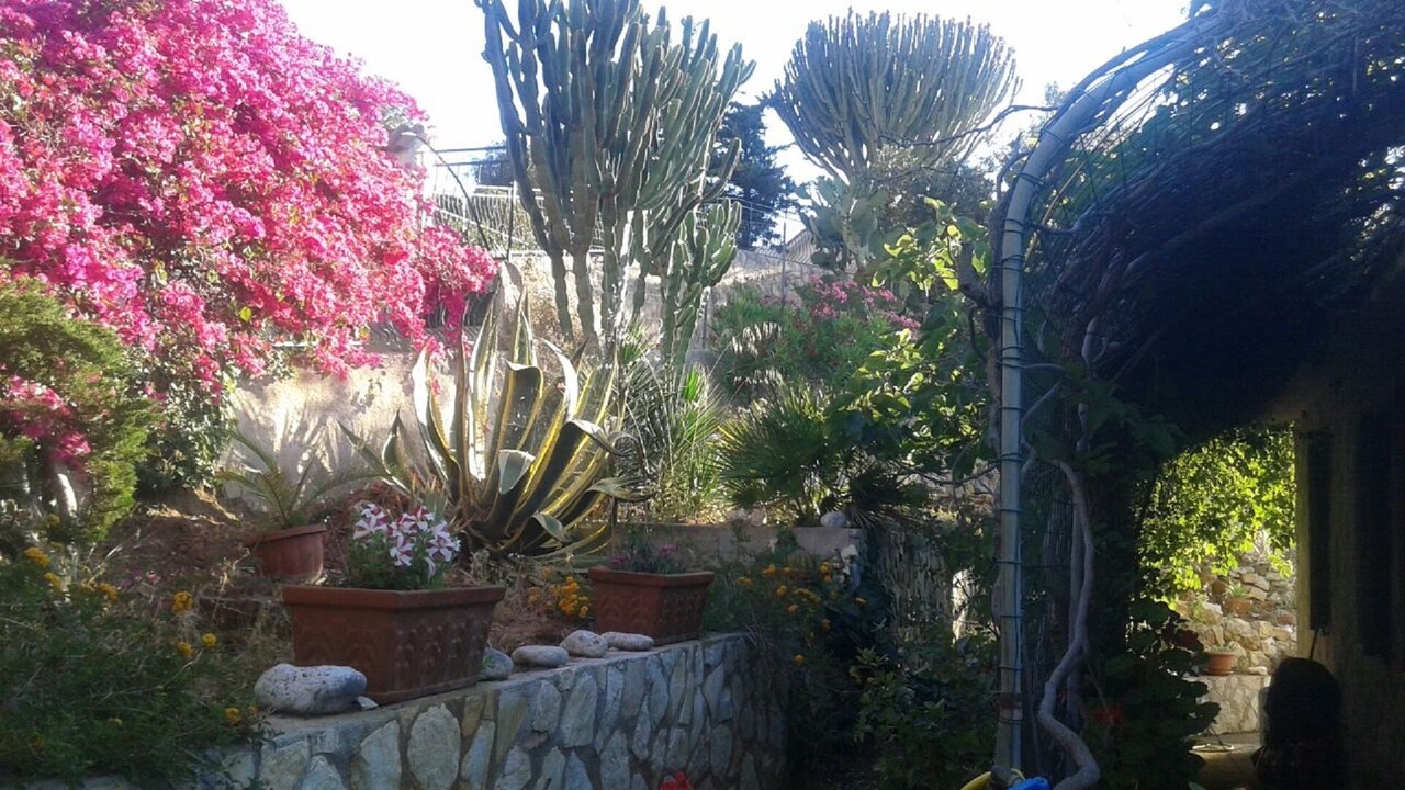 Photo of Outdoor in Scopello