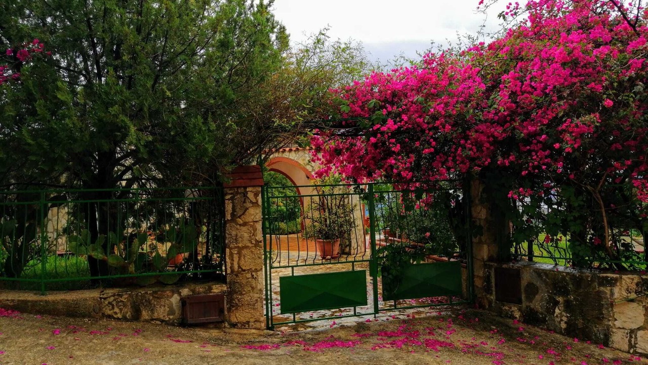 Photo of Outdoor in Scopello