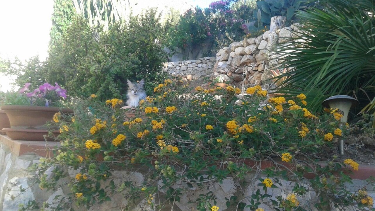 Photo of Outdoor in Scopello