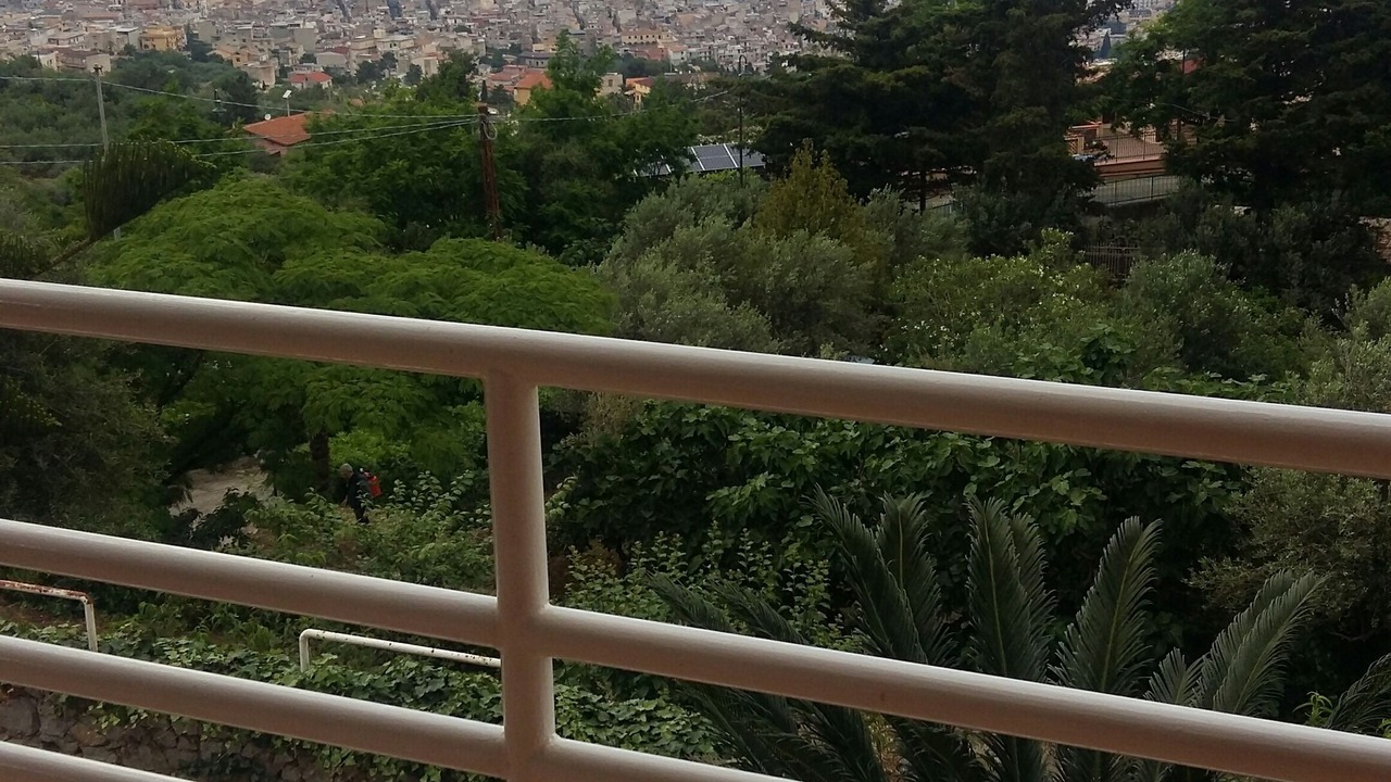 Photo of Outdoor in Carini