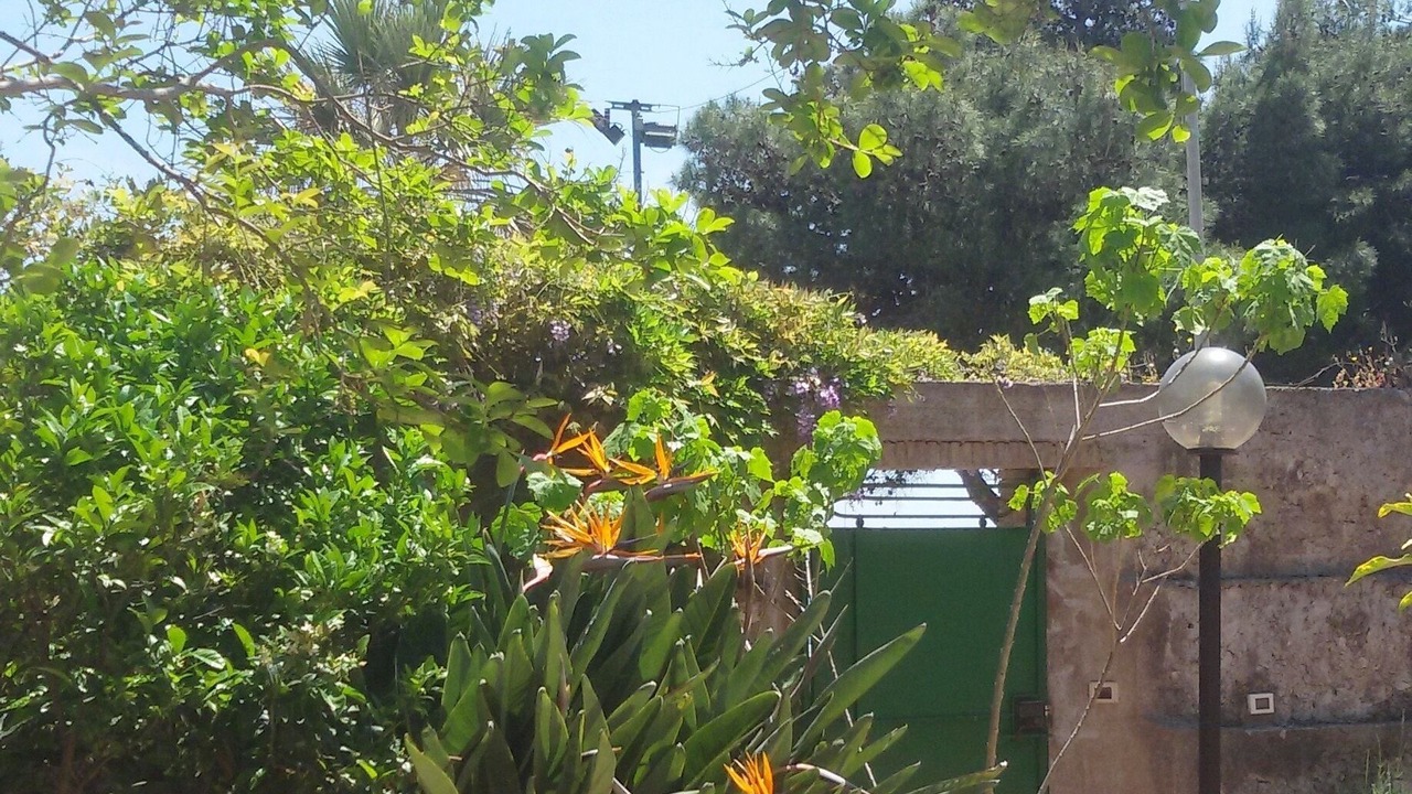 Photo of Outdoor in Mazzeo