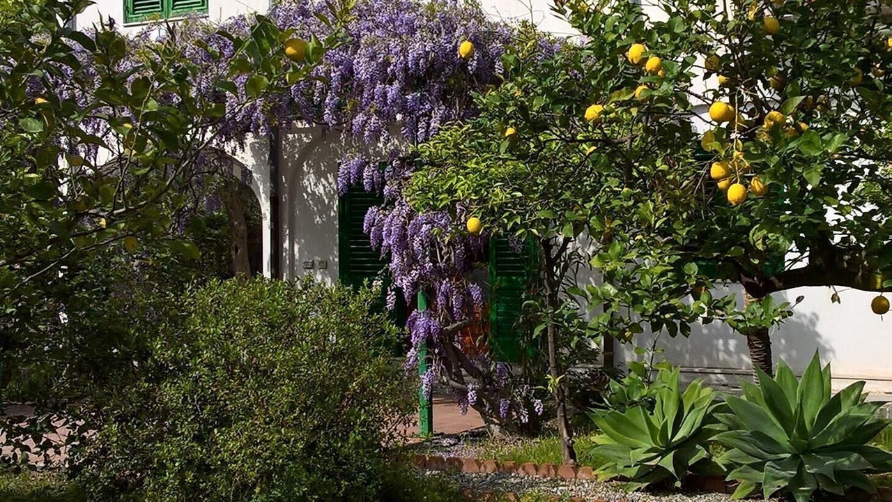 Photo of Outdoor in Mazzeo