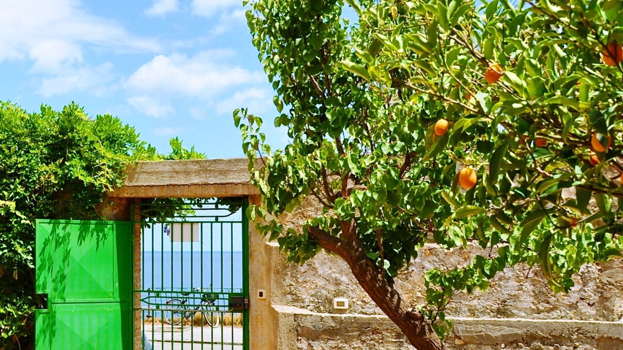 Photo of Outdoor in Mazzeo