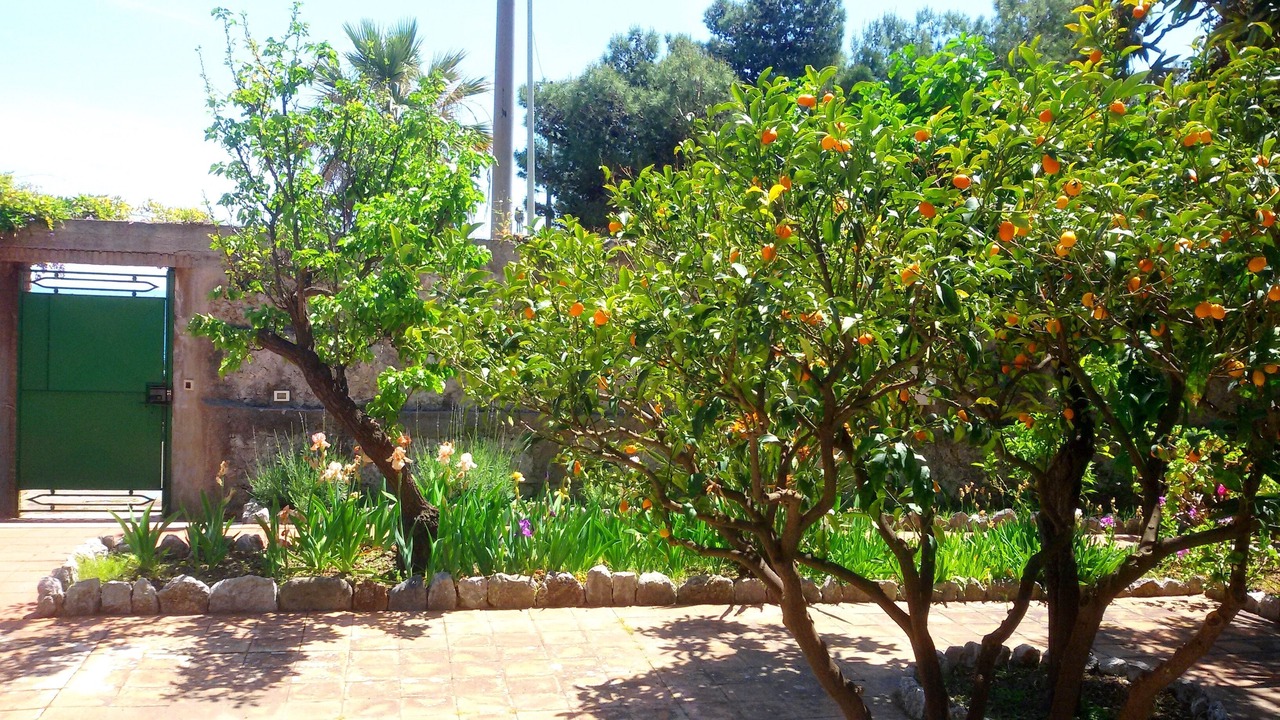 Photo of Outdoor in Mazzeo