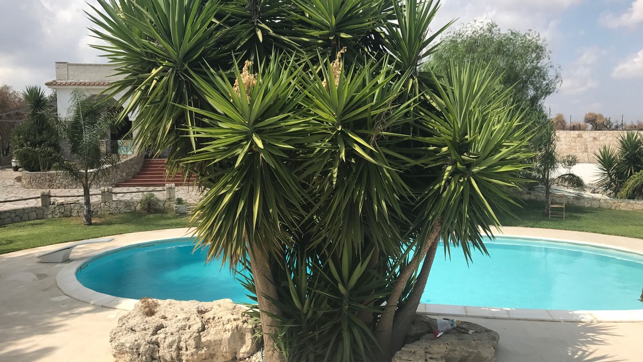 Photo of Outdoor in Melilli
