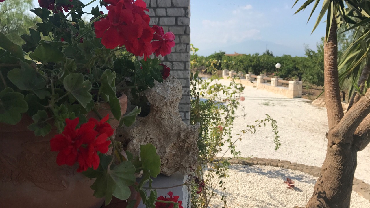 Photo of Outdoor in Melilli