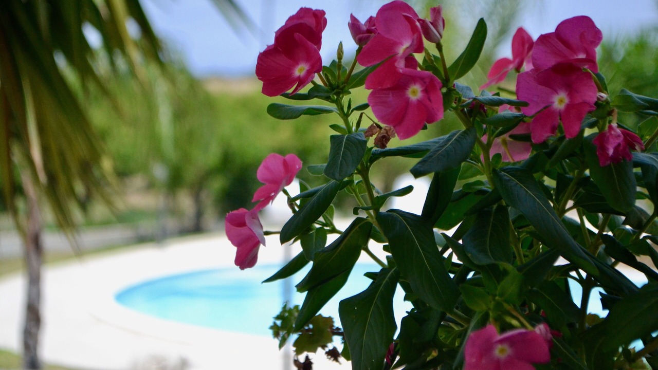 Photo of Outdoor in Melilli